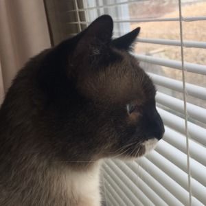 Meet your Posher, Pamela